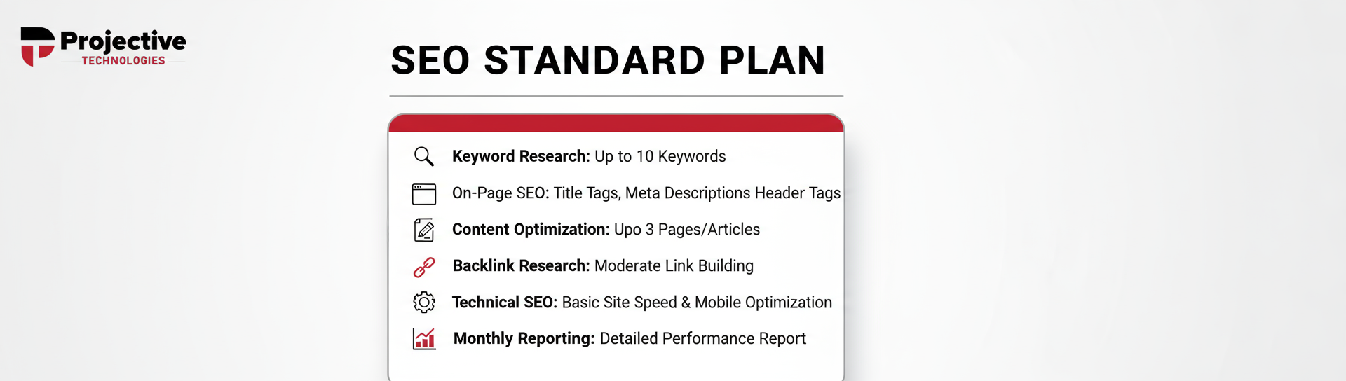 SEO Standard Plan